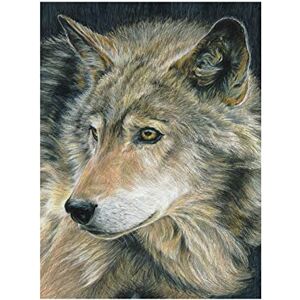 Pracht Creatives Hobby 4677-30011 Kleurboeken Met Numers Wolf - Verfspakket Pracht Creatives Hobby 4677-30011 Kleurboeken Met Numers Wolf - Verfspakket