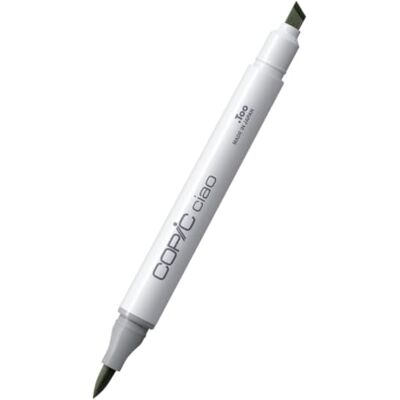 Copic Ciao Marker Type BG 93, Groen Grijs, veelzijdige layout marker, op alcoholbasis, met een medium breedte en een penseelpunt Copic Ciao Marker Type BG 93, Groen Grijs, veelzijdige layout marker, op alcoholbasis, met een medium breedte en een penseelpunt