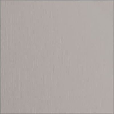 Creative Florence Cardstock Textured Gekleurde kaarten maken benodigdheden 30,5 x 30,5 cm grijs 20 vellen gekleurd papier voor scrapbooking, kaarten maken, stansen en papierambachten 216 g/m² blik Creative Florence Cardstock Textured Gekleurde kaarten maken benodigdheden 30,5 x 30,5 cm grijs 20 vellen gekleurd papier voor scrapbooking, kaarten maken, stansen en papierambachten 216 g/m² blik