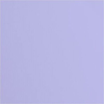 Creative Florence Cardstock Papier, paars, 216 g/m², vierkant, 30,5 x 30,5 cm, 20 stuks, textuur, voor scrapbooking, kaarten, stansen en ander knutselwerk Creative Florence Cardstock Papier, paars, 216 g/m², vierkant, 30,5 x 30,5 cm, 20 stuks, textuur, voor scrapbooking, kaarten, stansen en ander knutselwerk