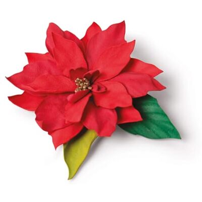 Sizzix Thinlits Dies By Jennifer Ogborn 5/Pkg-Elegant Poinsettia Sizzix Thinlits Dies By Jennifer Ogborn 5/Pkg-Elegant Poinsettia