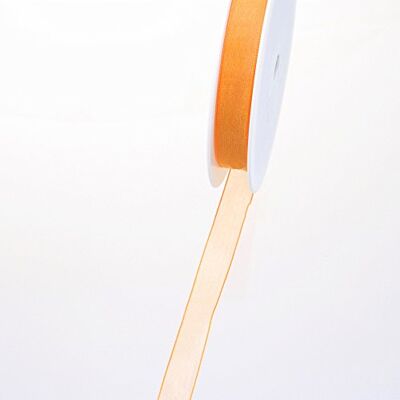 Deko AS GmbH 53736 Organza lint met geweven rand 15mm 50m col. 32 abrikoos 53736-15-50-32 Deko AS GmbH 53736 Organza lint met geweven rand 15mm 50m col. 32 abrikoos 53736-15-50-32