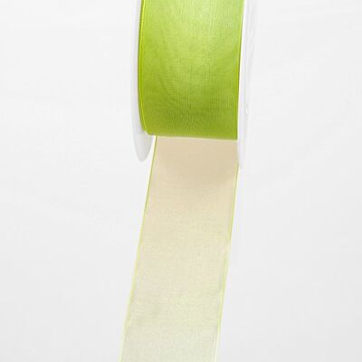 Deko AS GmbH Deko und Band 53736 Organza lint met weefrand 38mm 50m col. 22 lichtgroen 53736-38-50-62 Deko AS GmbH Deko und Band 53736 Organza lint met weefrand 38mm 50m col. 22 lichtgroen 53736-38-50-62