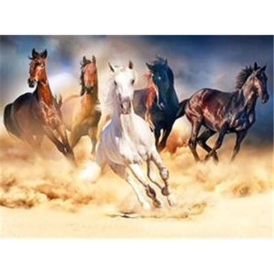Pracht Creatives Hobby Diamond Painting Set, afbeelding met motief galopperende paarden en toebehoren, formaat ca. 35 x 25 cm, knutselset om te beschilderen met glittersteentjes voor kinderen vanaf 5 jaar Pracht Creatives Hobby Diamond Painting Set, afbeelding met motief galopperende paarden en toebehoren, formaat ca. 35 x 25 cm, knutselset om te beschilderen met glittersteentjes voor kinderen vanaf 5 jaar