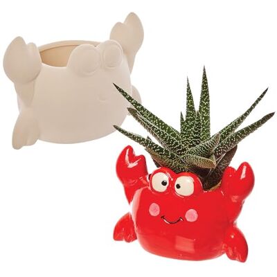 Baker Ross FX743 Krab Keramische Bloempotten Set van 2, Keramisch Schilderen voor Kinderen, Bloempotten voor Kinderen Baker Ross FX743 Krab Keramische Bloempotten Set van 2, Keramisch Schilderen voor Kinderen, Bloempotten voor Kinderen