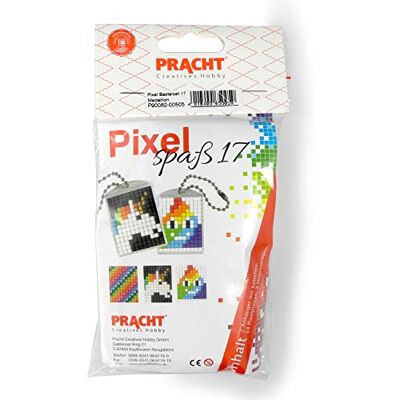 Pracht Creatives Hobby Pixel P90082-00505 Leuke knutselset 17 voor kinderen, eenvoudig insteeksysteem met steentjes van bioplastic voor het ontwerpen van 2 sleutelhangers (medaillons), zonder strijken en lijmen Pracht Creatives Hobby Pixel P90082-00505 Leuke knutselset 17 voor kinderen, eenvoudig insteeksysteem met steentjes van bioplastic voor het ontwerpen van 2 sleutelhangers (medaillons), zonder strijken en lijmen