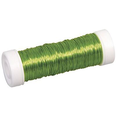 Rayher 2405511 sieradenhaakdraad, h.groen, diameter 0,30 mm, spoel 50 m, sierdraad, gekleurd gelakt koperdraad, voor het knutselen van sieraden en edelsteenboompjes, lichtgroen Rayher 2405511 sieradenhaakdraad, h.groen, diameter 0,30 mm, spoel 50 m, sierdraad, gekleurd gelakt koperdraad, voor het knutselen van sieraden en edelsteenboompjes, lichtgroen