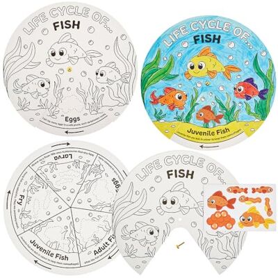 Baker Ross FN462 Vis Levenscyclus Stickerwielen Set van 5, STEM, Wetenschap, Wiskunde en Leerhulpmiddelen voor Kinderen en Scholen Baker Ross FN462 Vis Levenscyclus Stickerwielen Set van 5, STEM, Wetenschap, Wiskunde en Leerhulpmiddelen voor Kinderen en Scholen