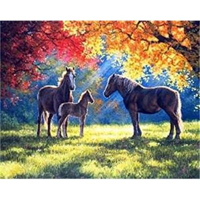 Pracht Creatives Hobby Diamond Painting Set, afbeelding met motief Paarden in de herfst en toebehoren, ca. 35 x 25 cm, knutselset om te beschilderen met glittersteentjes voor kinderen vanaf 5 jaar Pracht Creatives Hobby Diamond Painting Set, afbeelding met motief Paarden in de herfst en toebehoren, ca. 35 x 25 cm, knutselset om te beschilderen met glittersteentjes voor kinderen vanaf 5 jaar
