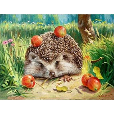 Pracht Creatives Hobby Diamond Painting Set, afbeelding met motief egel en accessoires, formaat ca. 25 x 35 cm, knutselset om te beschilderen met glittersteentjes voor kinderen vanaf 5 jaar Pracht Creatives Hobby Diamond Painting Set, afbeelding met motief egel en accessoires, formaat ca. 25 x 35 cm, knutselset om te beschilderen met glittersteentjes voor kinderen vanaf 5 jaar