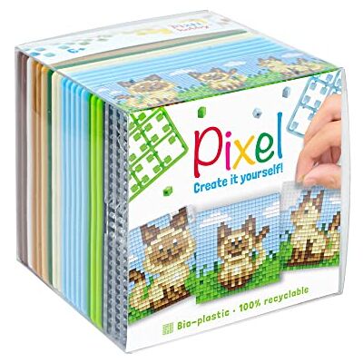 Pracht Creatives Hobby Pixel P29021 Hobby-set "Kat", insteeksysteem als creatieve hobby voor kinderen vanaf 6 jaar, kubusdoos met motiefsjablonen en pixelvierkantjes Pracht Creatives Hobby Pixel P29021 Hobby-set "Kat", insteeksysteem als creatieve hobby voor kinderen vanaf 6 jaar, kubusdoos met motiefsjablonen en pixelvierkantjes