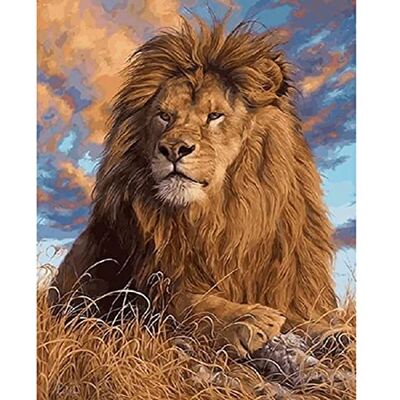 Pracht Creatives Hobby Diamond Painting Set, afbeelding met motief leeuw en toebehoren, formaat ca. 25 x 35 cm, knutselset om te beschilderen met glittersteentjes voor kinderen vanaf 5 jaar Pracht Creatives Hobby Diamond Painting Set, afbeelding met motief leeuw en toebehoren, formaat ca. 25 x 35 cm, knutselset om te beschilderen met glittersteentjes voor kinderen vanaf 5 jaar