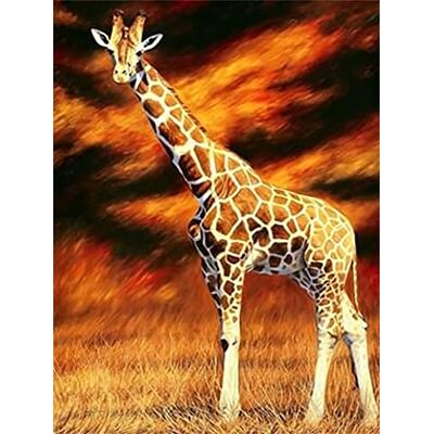Pracht Creatives Hobby Diamond Painting Set, afbeelding met motief giraffe en toebehoren, formaat ca. 25 x 35 cm, knutselset om te beschilderen met glittersteentjes voor kinderen vanaf 5 jaar Pracht Creatives Hobby Diamond Painting Set, afbeelding met motief giraffe en toebehoren, formaat ca. 25 x 35 cm, knutselset om te beschilderen met glittersteentjes voor kinderen vanaf 5 jaar