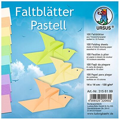 Ludwig Bähr Ursus Opvouwbaar Pastelkrijttekeningpapier - Tekenenpapier Ludwig Bähr Ursus Opvouwbaar Pastelkrijttekeningpapier - Tekenenpapier