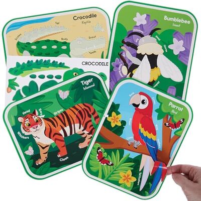 Baker Ross VC112 Dierlijke Anatomie Sticker Sets Set van 8, Educatieve Dierknutsels Baker Ross VC112 Dierlijke Anatomie Sticker Sets Set van 8, Educatieve Dierknutsels