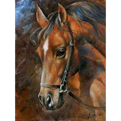 Pracht Creatives Hobby Diamond Painting Set, afbeelding met motief paardenhoofd en toebehoren, afmetingen ca. 25 x 35 cm, knutselset om te beschilderen met glittersteentjes voor kinderen vanaf 5 jaar Pracht Creatives Hobby Diamond Painting Set, afbeelding met motief paardenhoofd en toebehoren, afmetingen ca. 25 x 35 cm, knutselset om te beschilderen met glittersteentjes voor kinderen vanaf 5 jaar