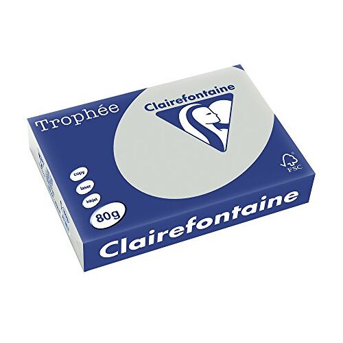 Clairefontaine 1993C printerpapier Trophée (80g, DIN A4 (21 x 29,7 cm), voor alle laserprinters, kopieerapparaten en inkjetprinters) 1 Ries staalgrijs