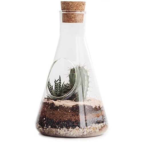 SUCK UK Terrarium Chemie Set   Conische kolf Terrariumkit voor planten   Educatieve Wetenschappen Kits   Glazen Terrarium met aarde voor cactusplanten   Mini Eco-systeem   Scheikunde Geschenken