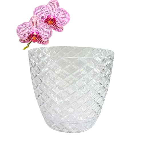 PANDEYA Set van 3 orchideeënpotten met schotel, orchideeënpot, transparant, diameter 15 cm, kunststof pot voor orchideeën, plantenpot, orchideeënpot, zelfbewaterende pot met afdichtsysteem