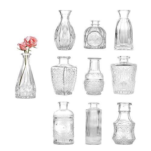 Czemo Kleine glazen vazen voor tafeldecoratie, mini-vazen, set van 10 stuks, glazen vazen, bloemenvaas, moderne tafelvazen, bruiloft, kleine vaas, decoratieve glazen voor droogbloemen, glazen flesjes,