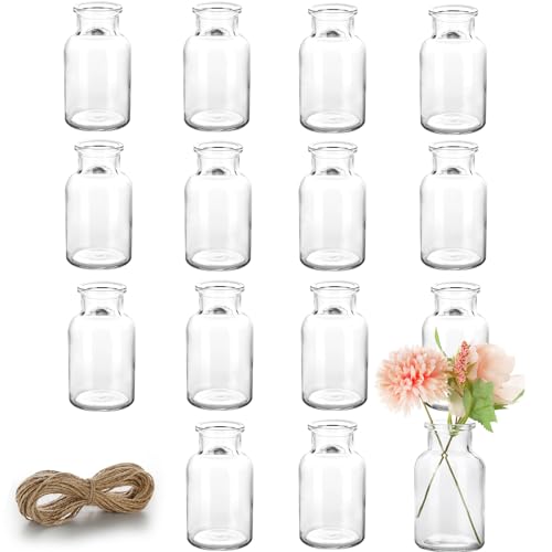 Lannvan Set van 15 glazen mini-vazen, kleine vazen voor tafeldecoratie, bruiloft, decoratieve vazenset met jute koord, kleine glazen vazen voor tafeldecoratie, verdikt, anti-val glazen vaas,