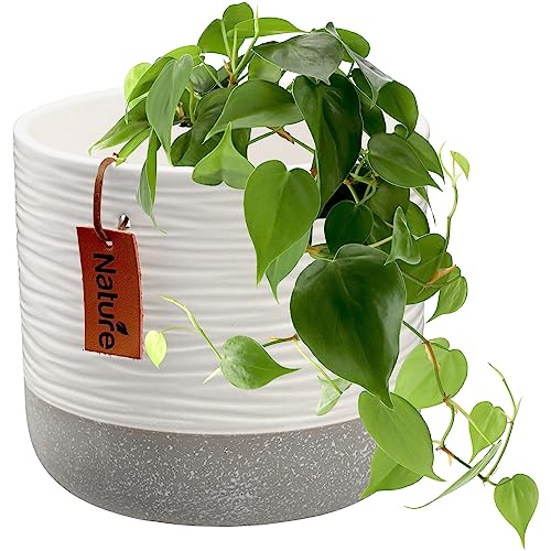 KADAX Bloempot, keramische plantenpot in 2 kleuren, sierpot met decoratieve reliëf, bloempot van keramiek, plantenpot voor kamerplanten (14 cm, wit)