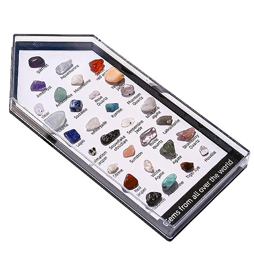 Jomewory Kristal Erts Specimen Mini Decor,Rock Mineral Collection Geologie Kristallen Kristallen Ornament Collectie, Geologie Kristallen Ertsen, Onderwijs