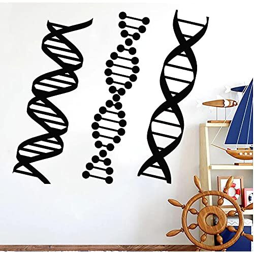 cbvdalodfej Genealogie Muursticker Biologie Chemie Decal School Wetenschap Klasse Stickers    Home Decor Slaapkamer Muurschildering 57x64cm