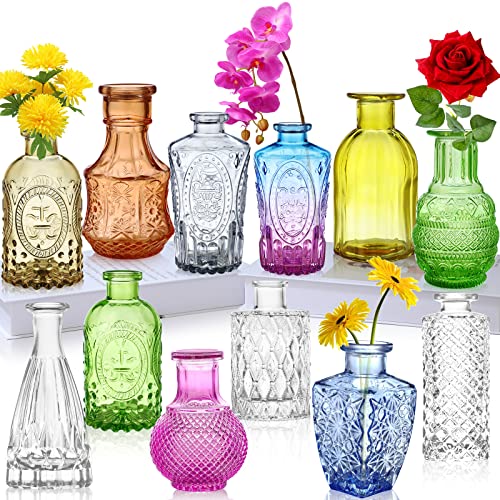 INFTYLE Glazen bud vazen set van 12, kleine vazen voor bloemen, gekleurde enkele knop vazen in bulk, mini-decor rustieke vazen voor centerpieces, vintage glazen flessen voor bruiloft, thuis, tafel cadeauset