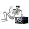 Mikamax Levensgroot skelet 1,70 m realistisch ontwerp Halloween decoratieideeën kerkhof spookbotten afmetingen 170 x 45 cm