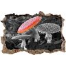 Pixxprint 3D_WD_S4104_92x62 reusachtige giftige vliegenzwam in het bos wanddoorbraak 3D muurtattoo, vinyl, zwart/wit, 92 x 62 x 0,02 cm