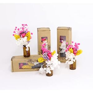 ART Cadeau voor Moederdag Mini droogboeket in roze, wit en paars met geschenkverpakking (3 stuks) Mini boeket met gedroogde bloemen (variant E) ART Cadeau voor Moederdag Mini droogboeket in roze, wit en paars met geschenkverpakking (3 stuks) Mini boeket met gedroogde bloemen (variant E)