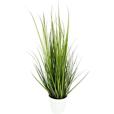 I.GE.A. Grasstruik Kunstplant - Decoratief, Laag Onderhoud I.GE.A. Grasstruik Kunstplant - Decoratief, Laag Onderhoud
