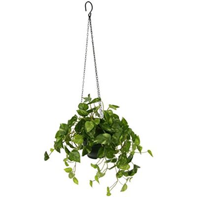 Flair Flower Kunstmatige Pothos Hangplant - Decoratie Flair Flower Kunstmatige Pothos Hangplant - Decoratie