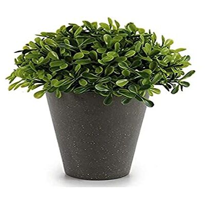 Ibergarden - Decoratieve Plant - 13x17x13cm - Plant Ibergarden - Decoratieve Plant - 13x17x13cm - Plant