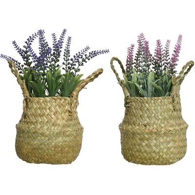 Decoris Everlands geassorteerde kleur PE lavendel-16cm diameter, 27cm hoogte, één maat Decoris Everlands geassorteerde kleur PE lavendel-16cm diameter, 27cm hoogte, één maat