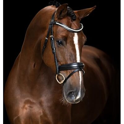 Imperial Riding IRH Hoofdstel Combinatie Neusriem met Ergonomisch Hoofddeksel en Afneembare Sluitband Zwart, Pony Imperial Riding IRH Hoofdstel Combinatie Neusriem met Ergonomisch Hoofddeksel en Afneembare Sluitband Zwart, Pony