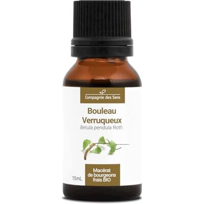 La Compagnie des Sens Biologische wrattenberk – 15 ml – (Betula Pendula) – Maceraat concentraat van verse knoppen La Compagnie des Sens Biologische wrattenberk – 15 ml – (Betula Pendula) – Maceraat concentraat van verse knoppen