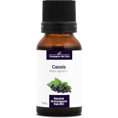 La Compagnie des Sens Biologische zwarte bes – 15 ml – (Ribes Nigrum) – Maceraat concentraat van verse knoppen La Compagnie des Sens Biologische zwarte bes – 15 ml – (Ribes Nigrum) – Maceraat concentraat van verse knoppen