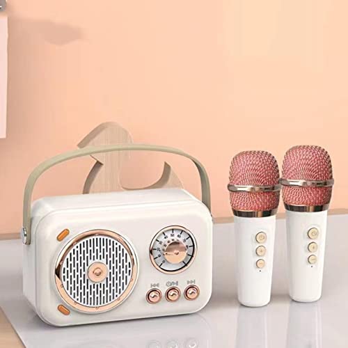 Lazmin112 Karaoke-apparaat met 2 Draadloze Microfoons, 6 Modi Draagbaar BT PA-luidsprekersysteem met Lederen Polsband, Zingende Karaoke-set met 1200 MAh Oplaadbare Batterij voor Thuiskaraoke