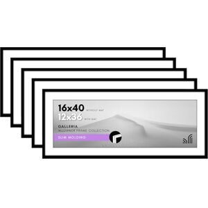 Americanflat 16x40 Picture Frame Set of 5 Black Polished Plexiglass Modern Classic Style Easy Photo Insertion Wall Mount Americanflat 16x40 Picture Frame Set of 5 Black Polished Plexiglass Modern Classic Style Easy Photo Insertion Wall Mount