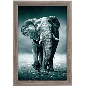 Goldbuch 92 0745 fotolijst Toscana van hout, fotolijst voor foto in 20x30 cm formaat, portretlijst met standaard en wandhouder, enkele lijst van MDF, fotolijsten, grijs Goldbuch 92 0745 fotolijst Toscana van hout, fotolijst voor foto in 20x30 cm formaat, portretlijst met standaard en wandhouder, enkele lijst van MDF, fotolijsten, grijs