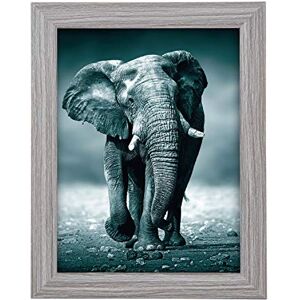 Goldbuch 92 0743 fotolijst Toscana van hout, fotolijst voor foto in 13 x 18 cm formaat, portretlijst met standaard en wandhouder, enkele lijst van MDF, fotolijst, grijs Goldbuch 92 0743 fotolijst Toscana van hout, fotolijst voor foto in 13 x 18 cm formaat, portretlijst met standaard en wandhouder, enkele lijst van MDF, fotolijst, grijs