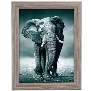 Goldbuch 92 0744 fotolijst Toscana van hout, fotolijst voor foto in 15 x 20 cm formaat, portretlijst met standaard en wandhouder, enkele lijst van MDF, fotolijst, grijs Goldbuch 92 0744 fotolijst Toscana van hout, fotolijst voor foto in 15 x 20 cm formaat, portretlijst met standaard en wandhouder, enkele lijst van MDF, fotolijst, grijs