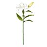 EUROCINSA Ref.13250C01 Lily wit, doos met 6 stuks, 60 cm