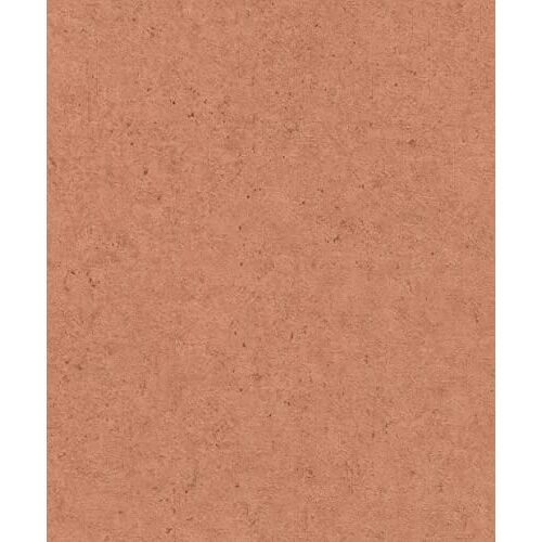 Rasch Behang 520880 roest-rood vliesbehang met betonlook uit de collectie Concrete 10,05 m x 0,53 m (l x b)