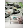 Komar fleece fotobehang PURE 300 x 250 cm behang, muur decoratie, bloemen, orchideeën, wellness, steen, rivier 319-DV3