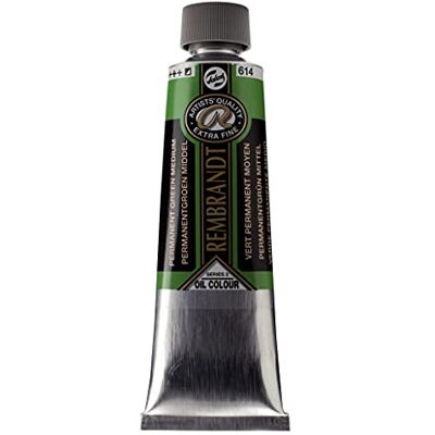 Rembrandt Verf Olie MEDI, Permanent Groen Medium, One Size Rembrandt Verf Olie MEDI, Permanent Groen Medium, One Size