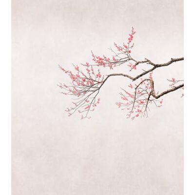 Rasch Bloemen Selectie Behang - Behang Rasch Bloemen Selectie Behang - Behang