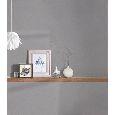 A.S. Création vliesbehang met een lichte textuur 0,53 x 15,00 m grijs donkergrijs effen behang met textuur made in Germany eenkleurig grijs behang voor verschillende ruimtes 373304 A.S. Création vliesbehang met een lichte textuur 0,53 x 15,00 m grijs donkergrijs effen behang met textuur made in Germany eenkleurig grijs behang voor verschillende ruimtes 373304